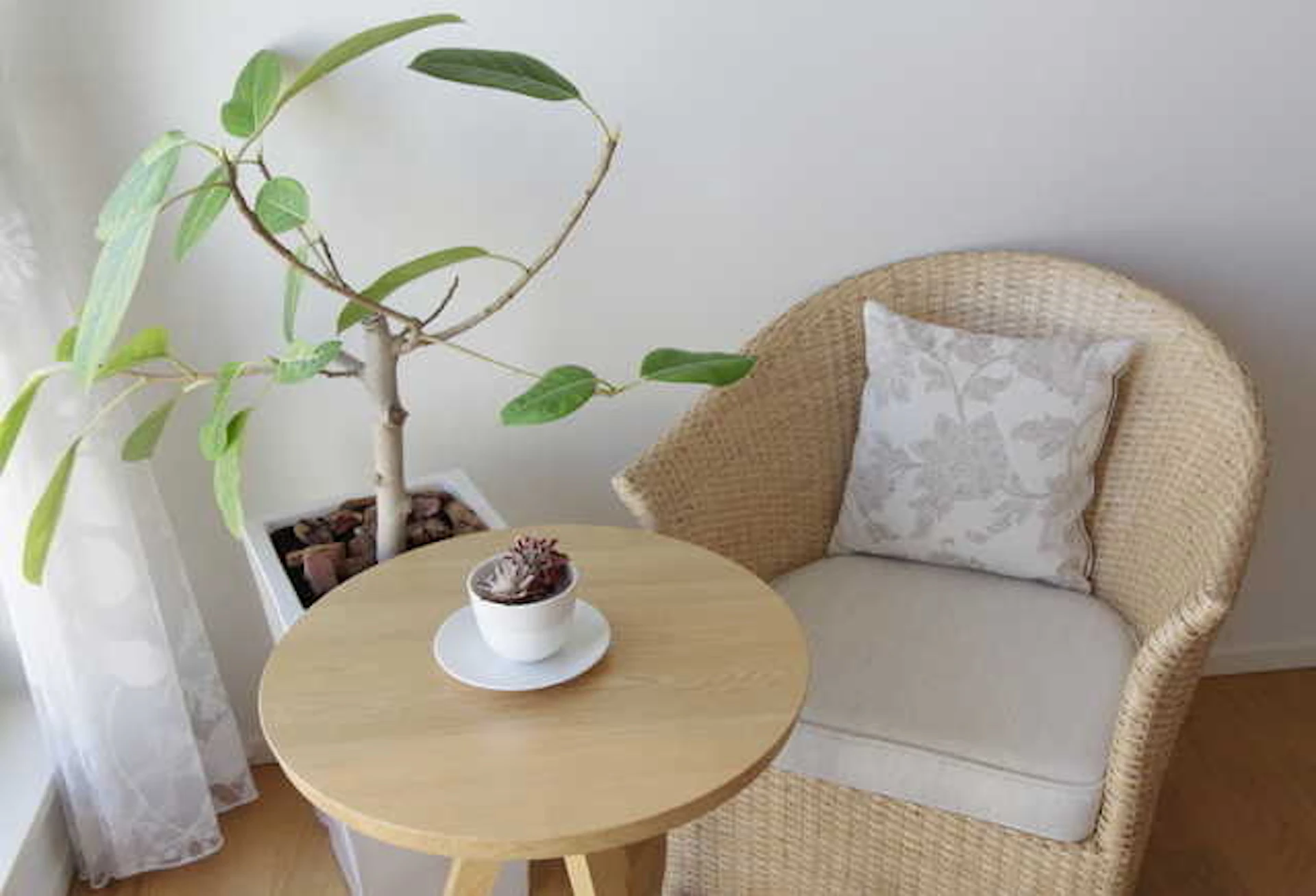 アジアンテイストなソファは軽い