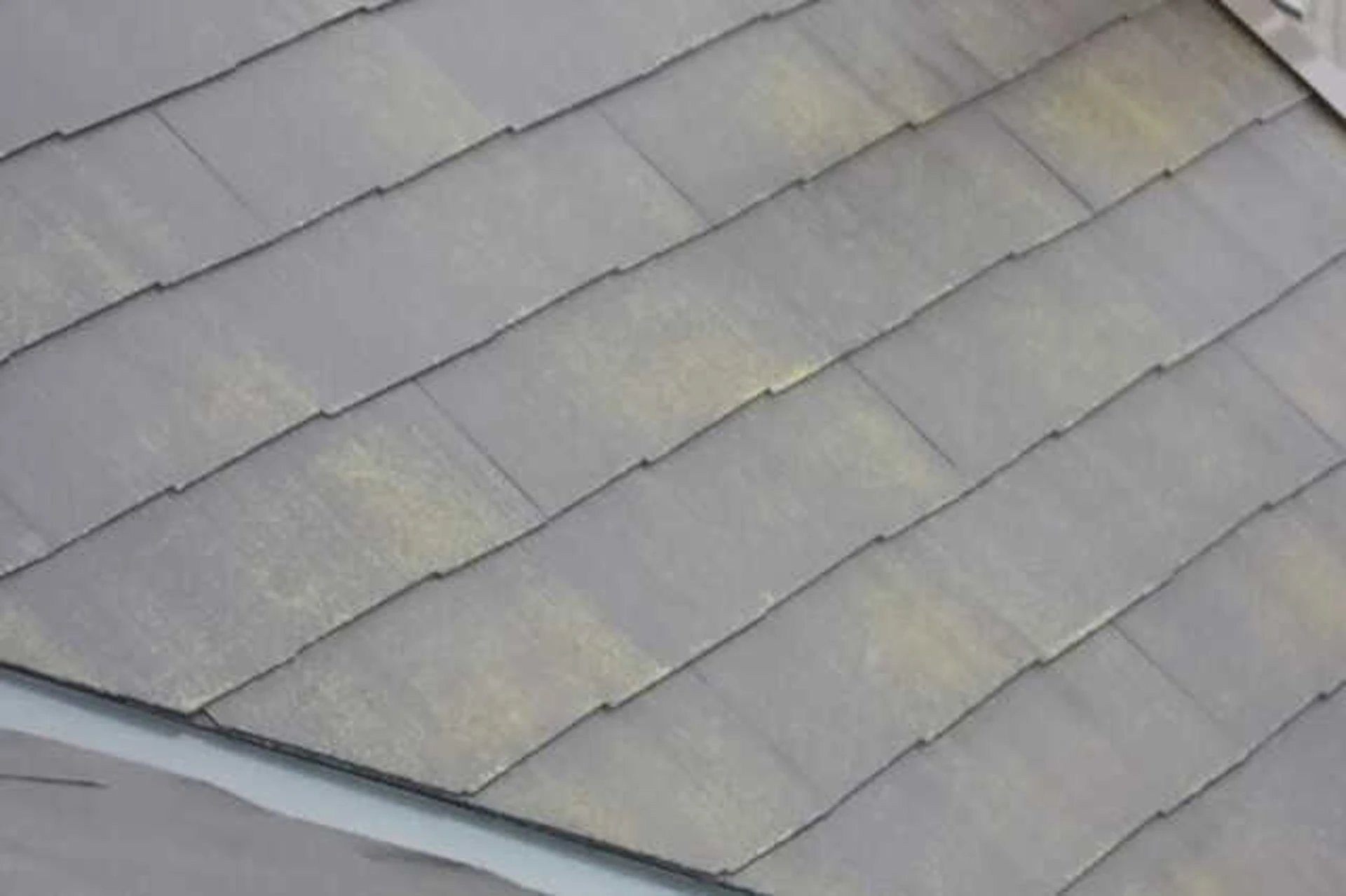 ③コケ・藻・カビが発生している