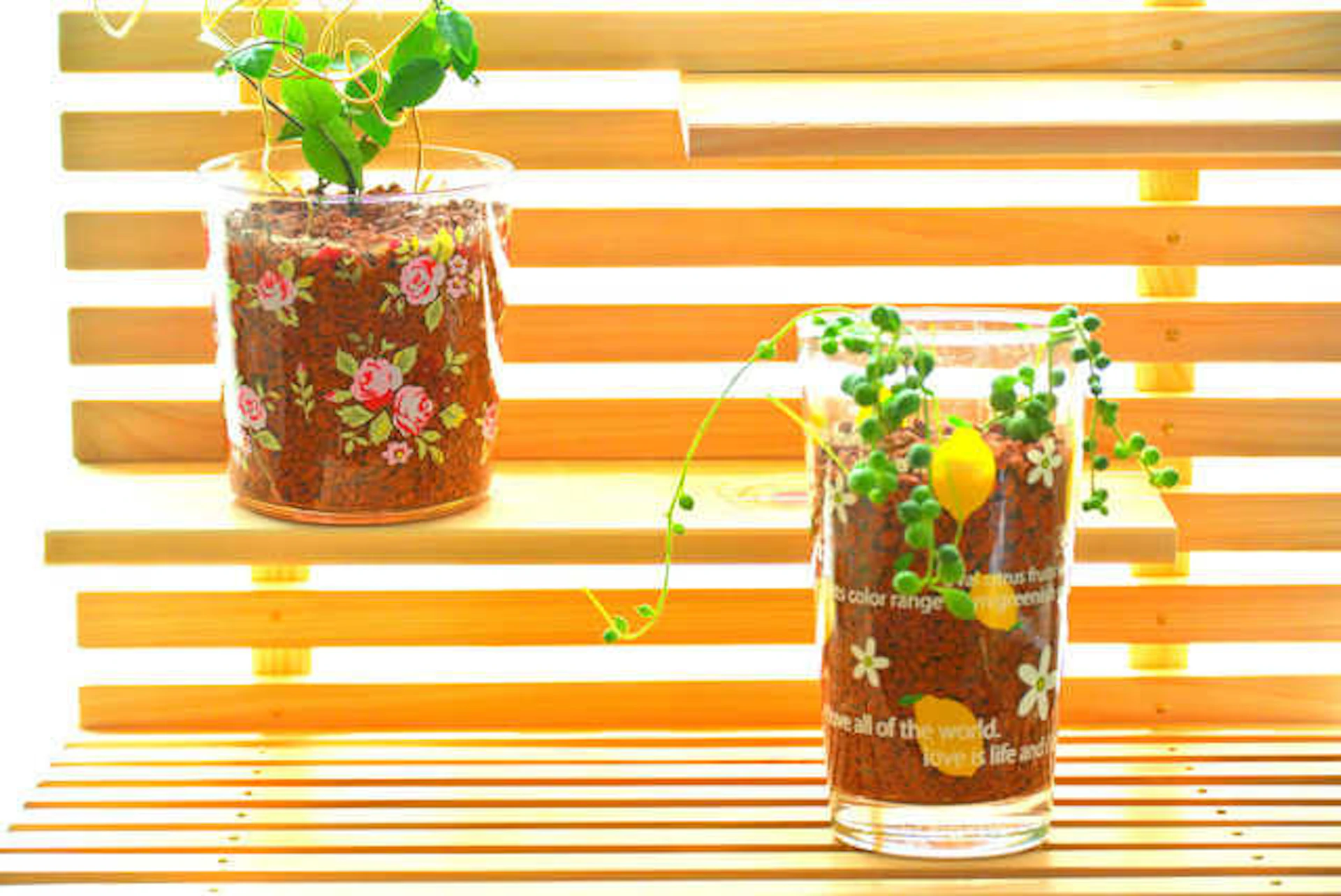 サムネイル:誰でもできるDIY「すのこ」で作る棚が驚くほど便利