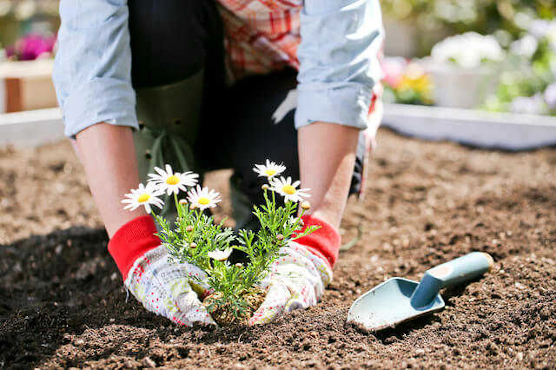 6.庭はほとんど使わなくなる
