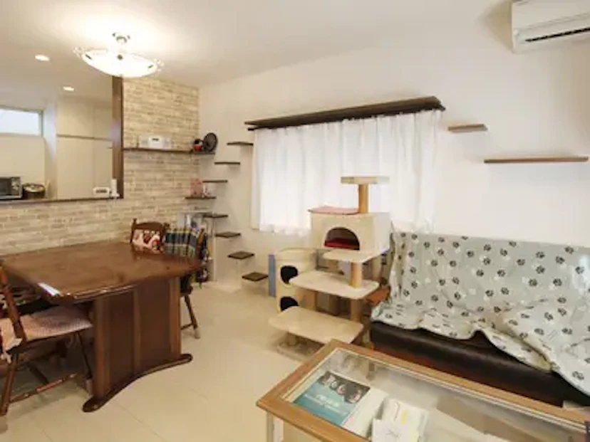 株式会社匠工房 「猫と暮らす家」