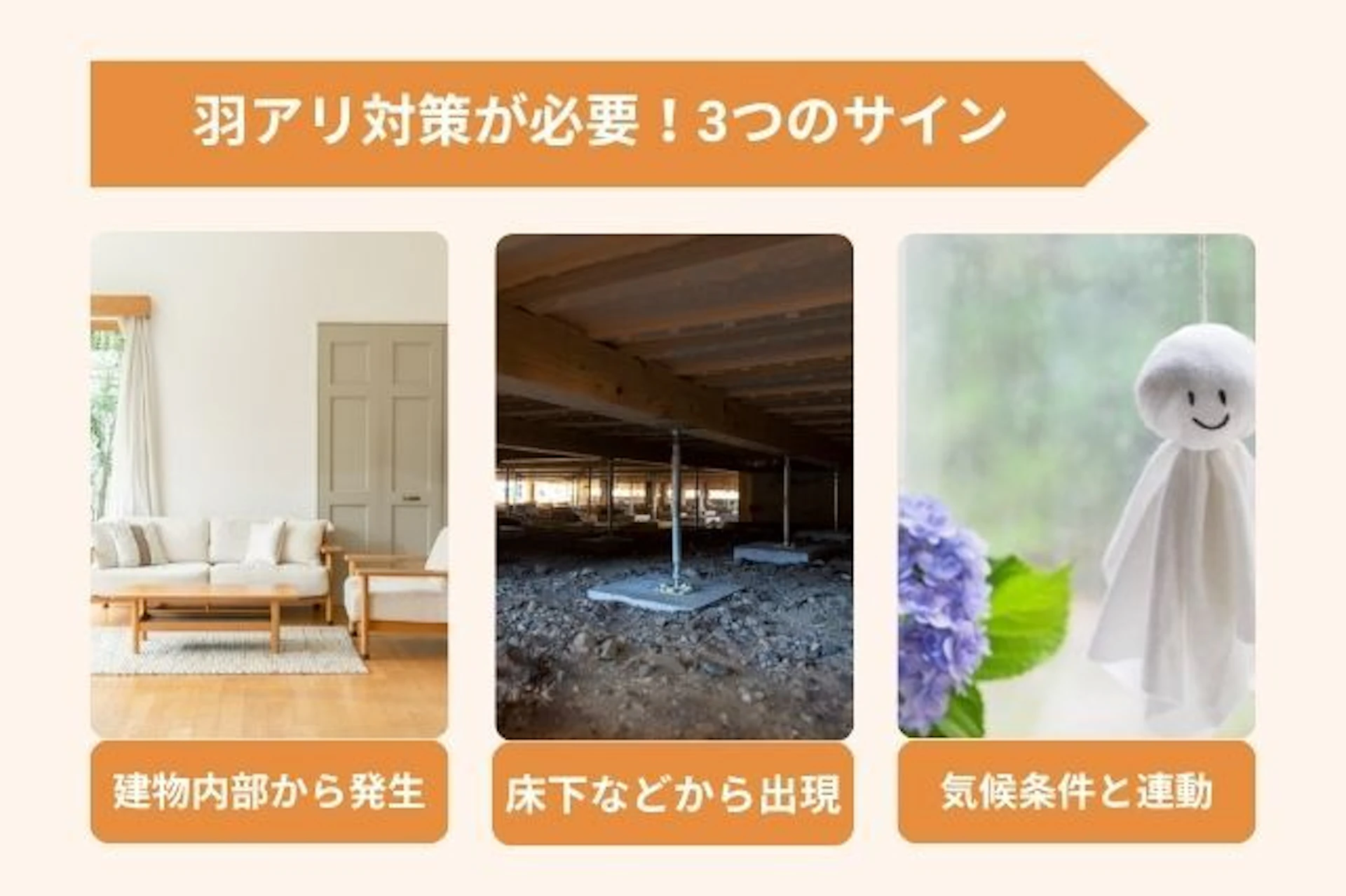 羽アリが大量発生する3つの危険サイン