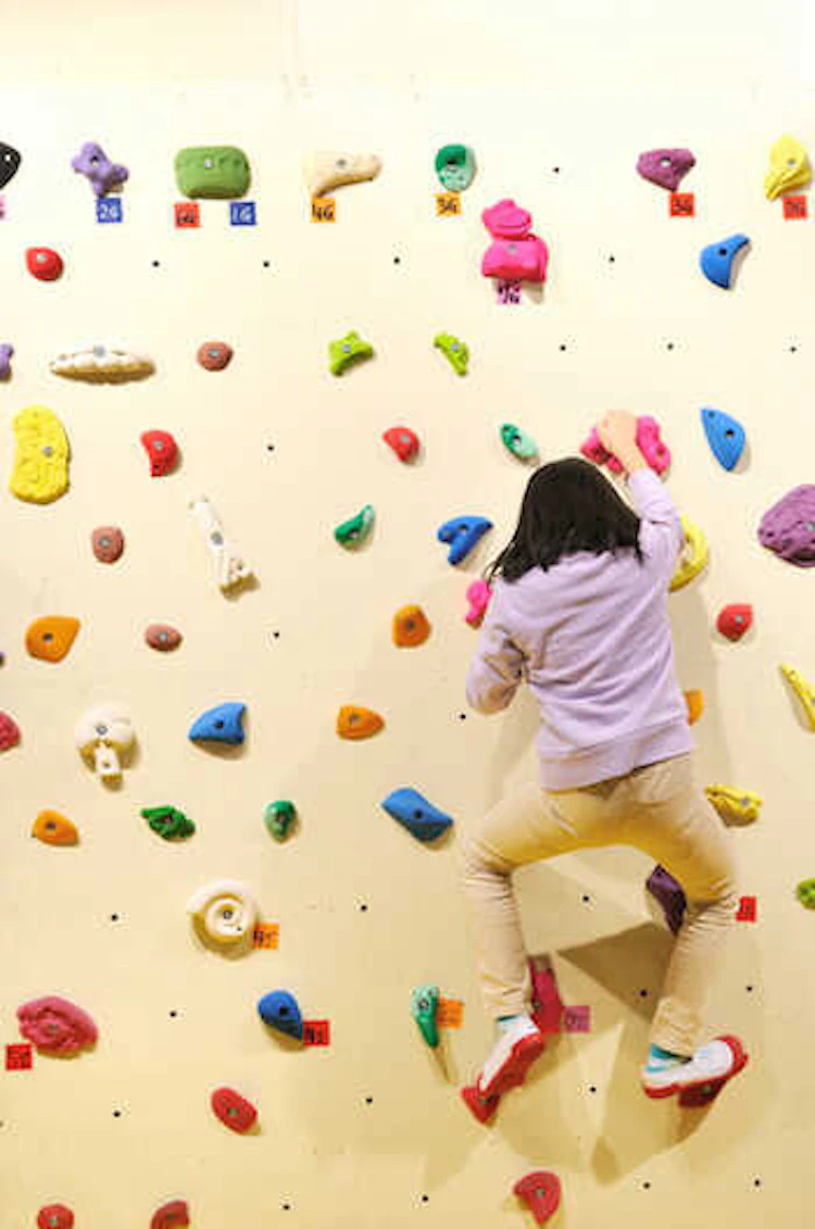 遊び心あふれる!ボルダリングを楽しむ家♡