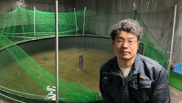 ヒラメ養殖生簀の水質管理