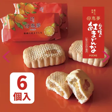 静岡県 藤枝市物産＆愛媛物産の販売｜ニュース｜FC今治公式サイト