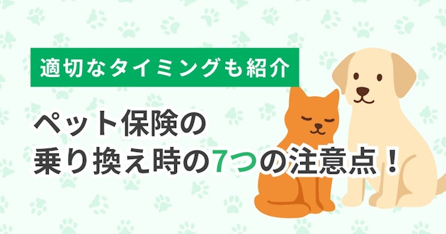 ペット保険の乗り換え時の7つの注意点！適切なタイミングも紹介