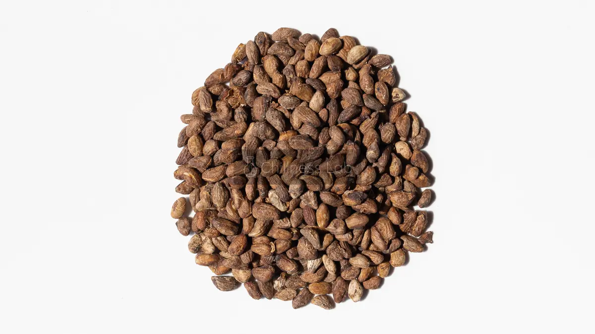 Voacanga africana 種子