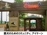 Aikeen_Opening11