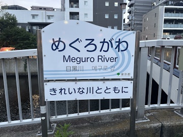 目黒川の水を発酵させるとどうなるか