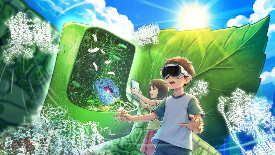 生命活動を担う素子　3D空間でタンパク質の世界をのぞいてみよう 〜植物の光合成〜