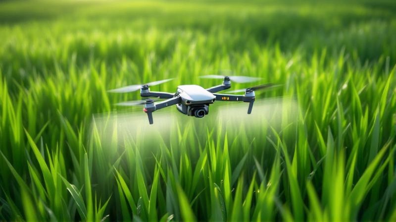 スマート農業事例における現場での判断基準:場面別の見極め方の様子