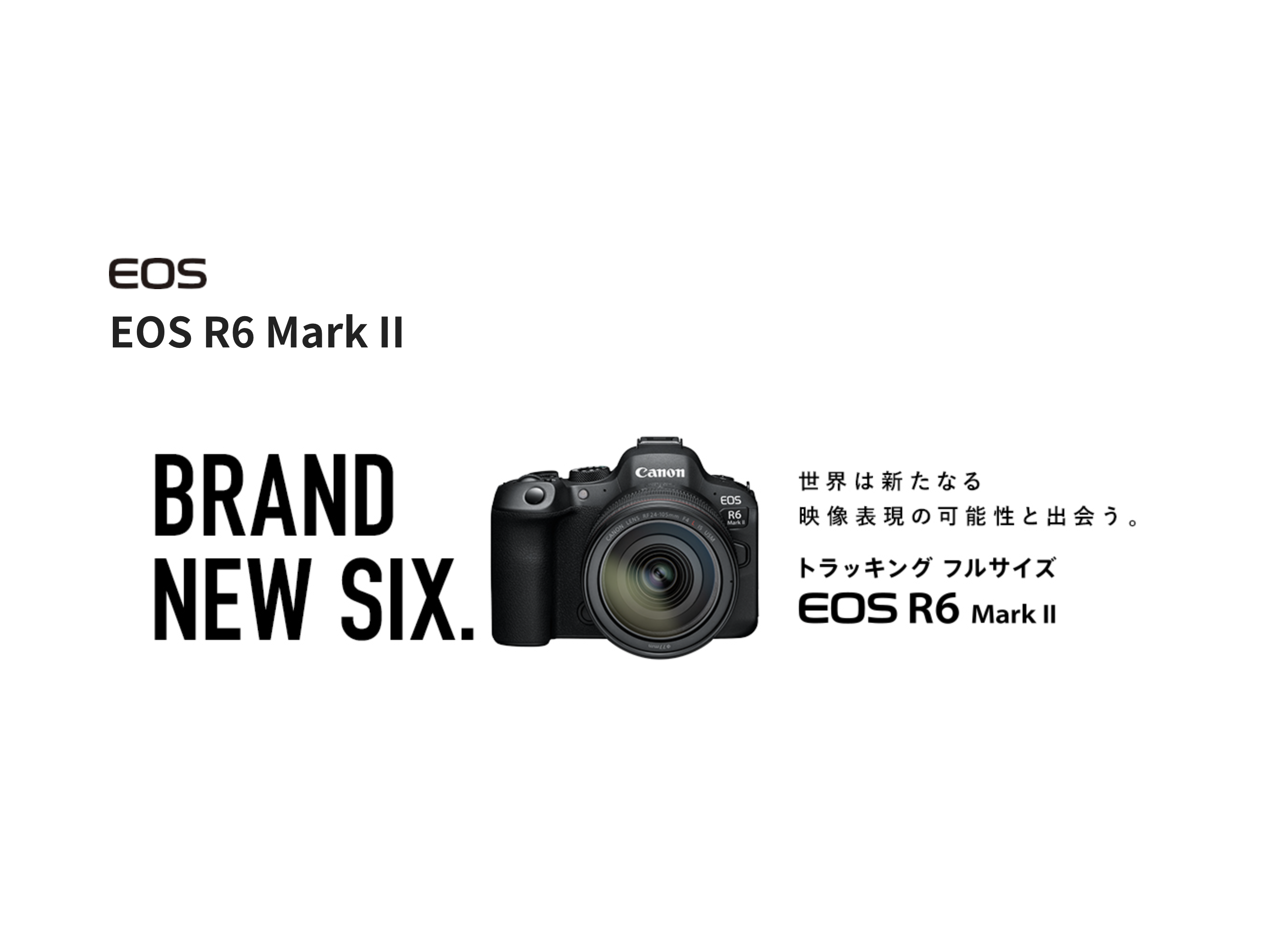 【レビューまとめ】Canon EOS R6 mark II