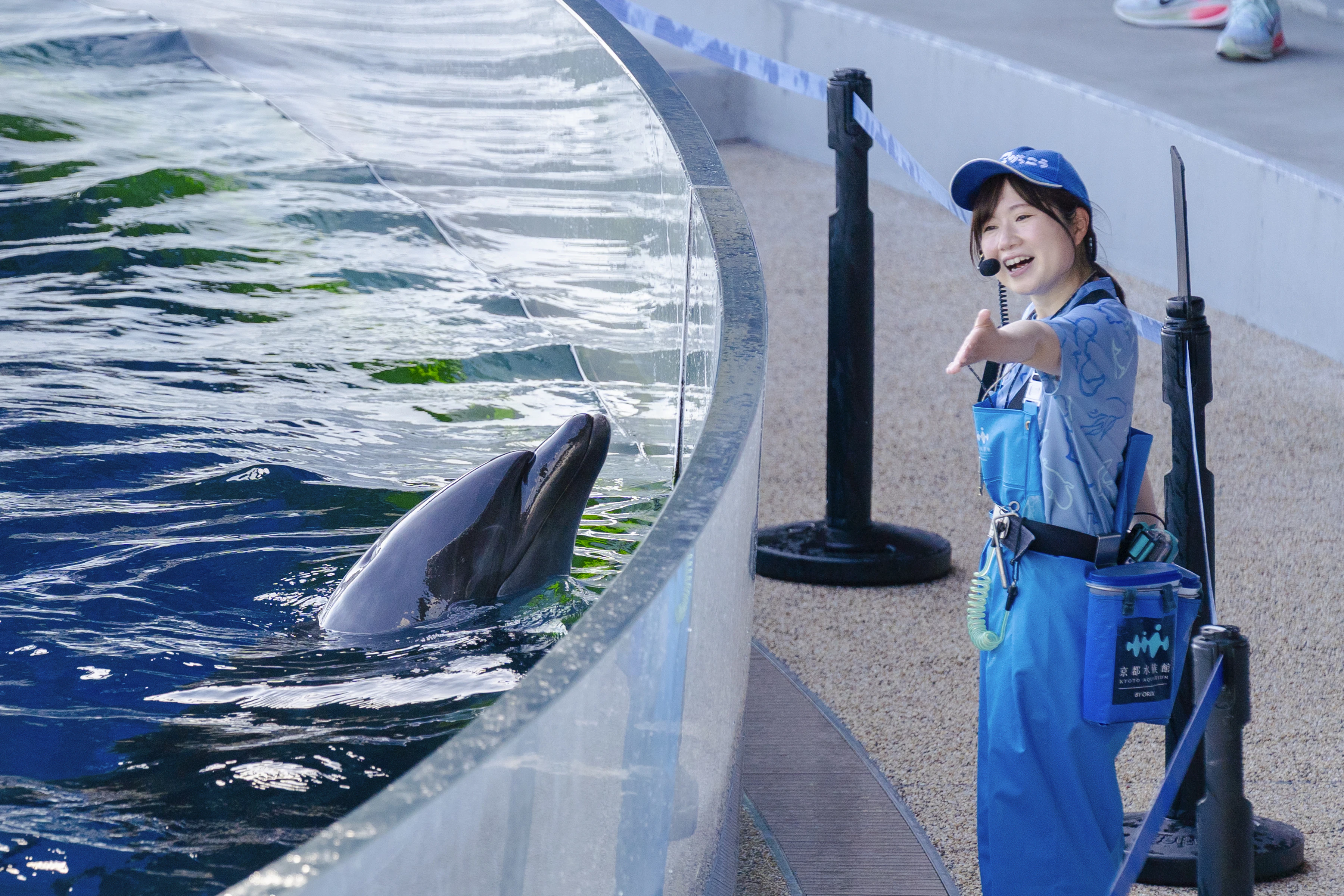 京都 市 水族館