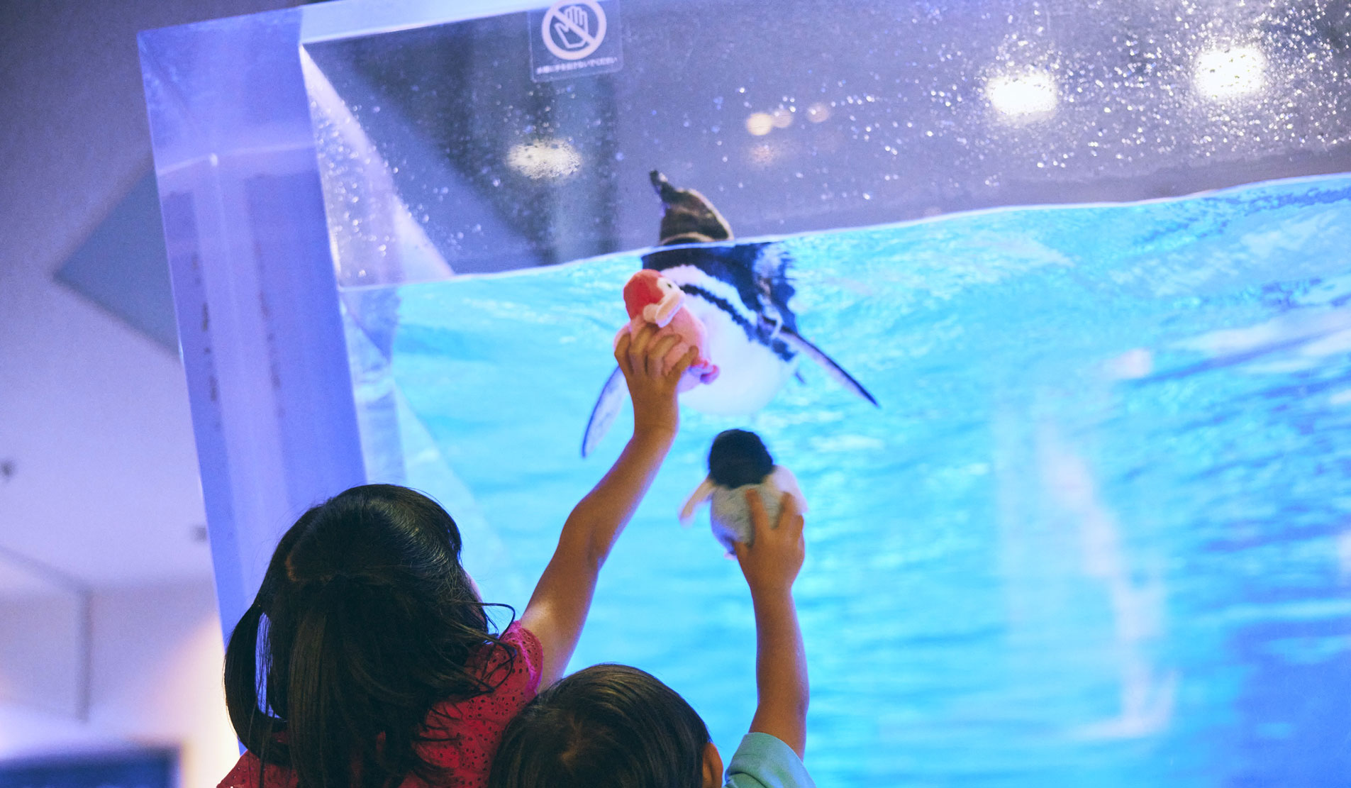 東京スカイツリータウン®にある「すみだ水族館」【公式】