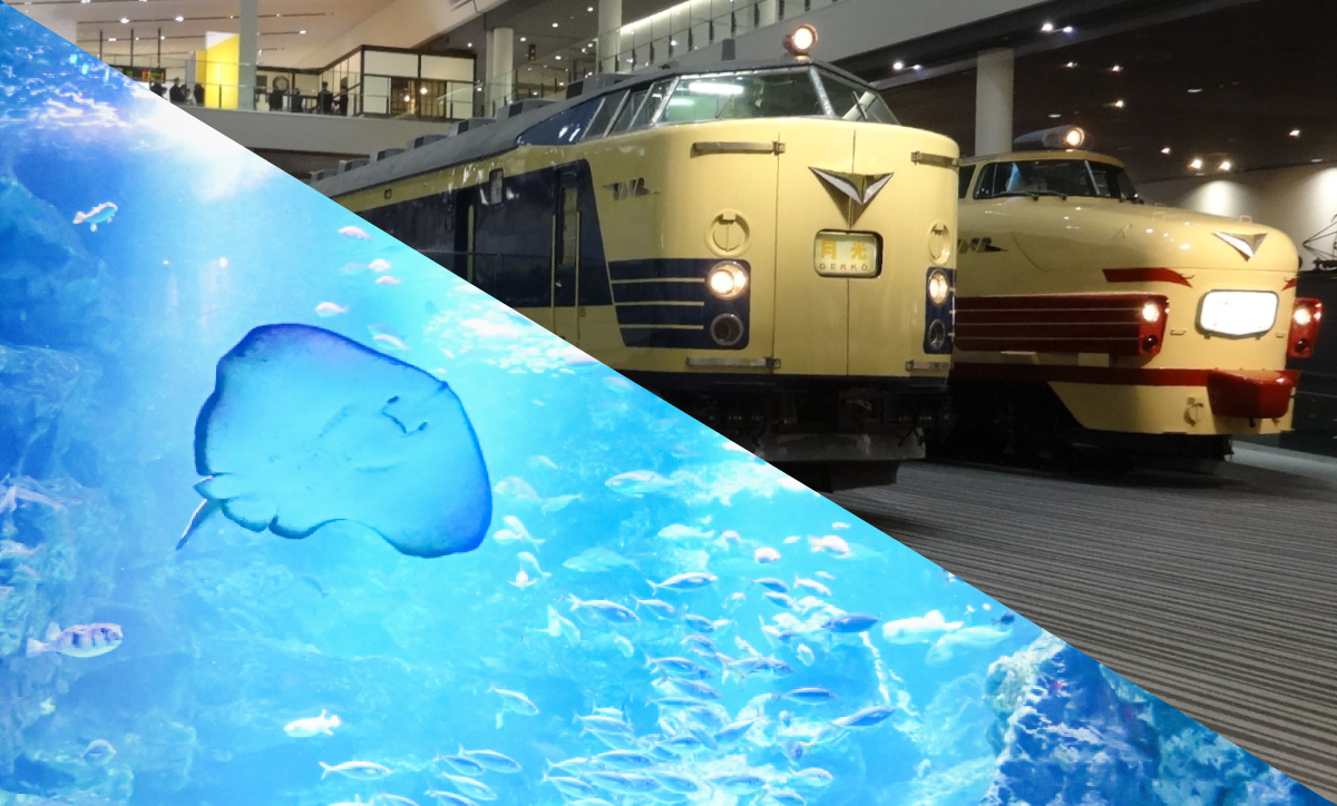 急募 京都水族館&鉄道博物館の入場券 チケット購入 | 梅小路京都西駅からすぐ「京都水族館」【公式サイト】