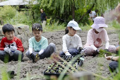 植え付け作業
