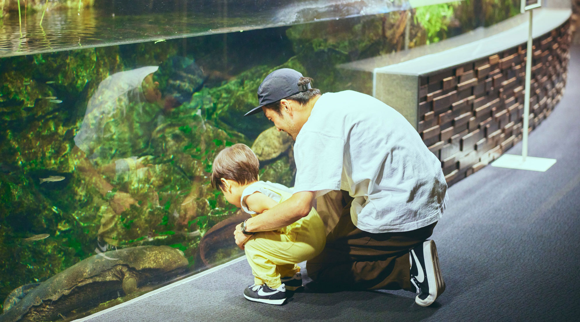 梅小路京都西駅からすぐ「京都水族館」【公式サイト】