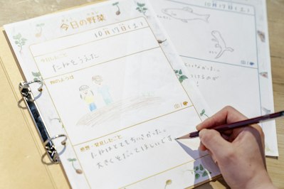 野菜の「観察ノート」（イメージ）