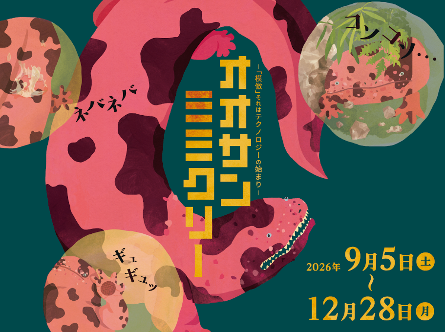 ミミクリーアイテムを通じオオサンショウウオの特徴を知る企画展