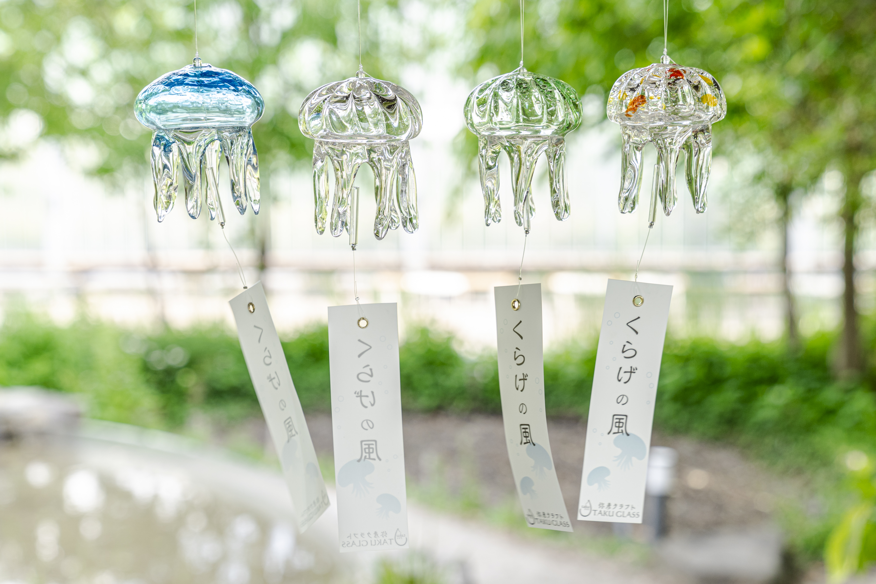 【京都水族館限定】クラゲ風鈴 ガラス風鈴 TAKU GLASS 新作を加えた約170個の風鈴で夏を彩る「くらげと傘と風鈴と」5月30日