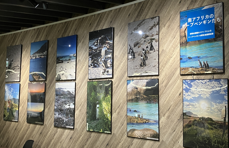 スタッフが現地で撮影した写真をポスター展示