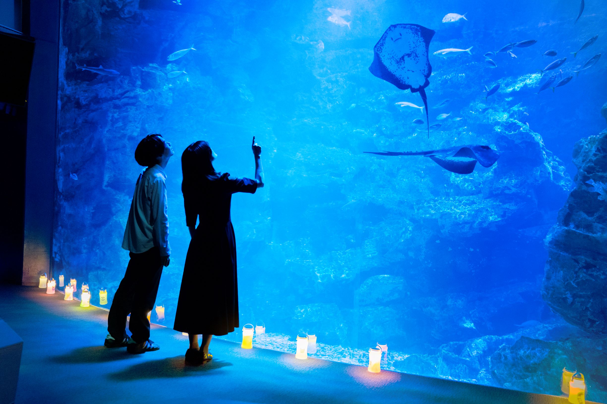 ボンボンドロップシール 京都水族館 ジンベイザメ イルカ クラゲ
