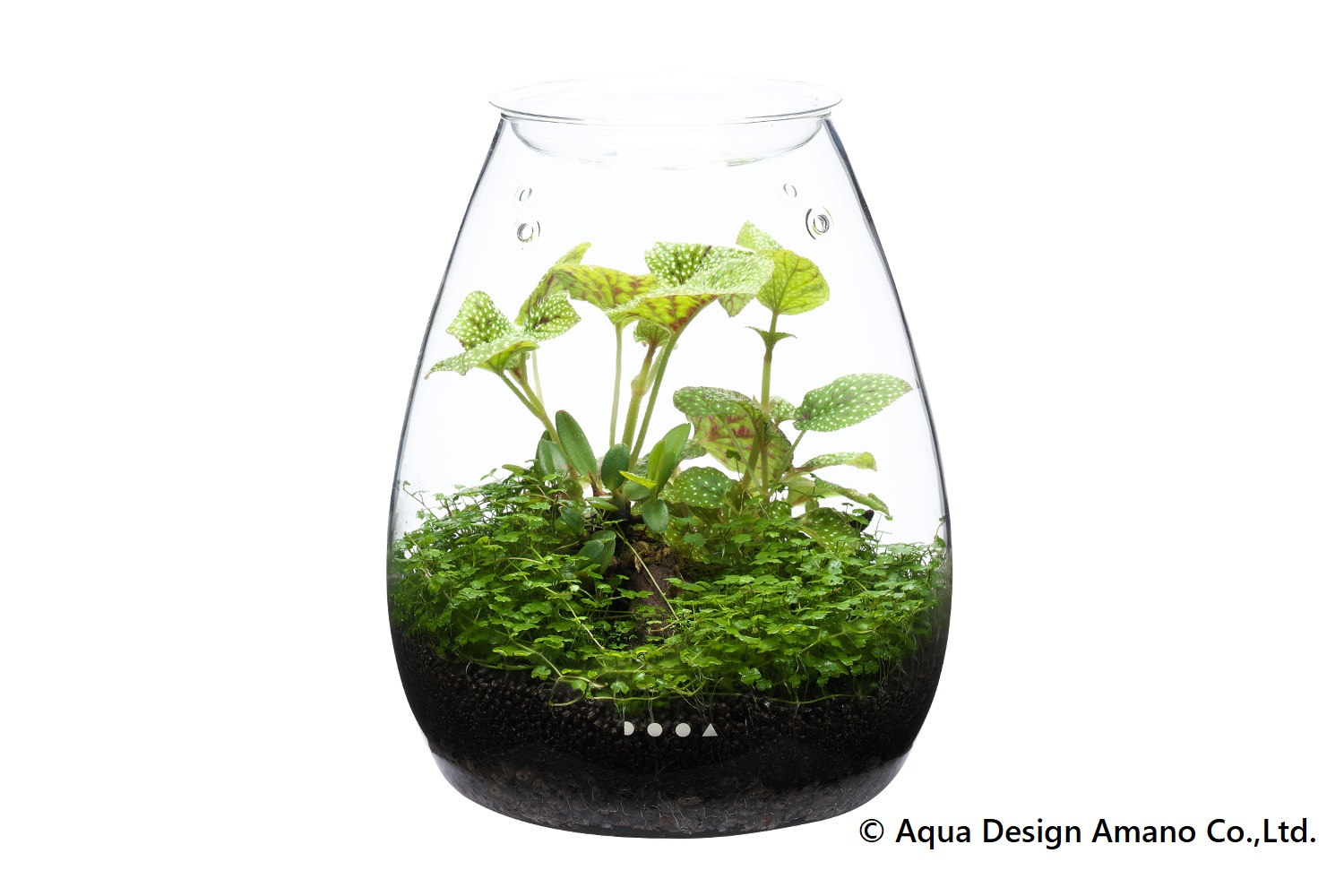 「ミニパルダリウム」イメージ