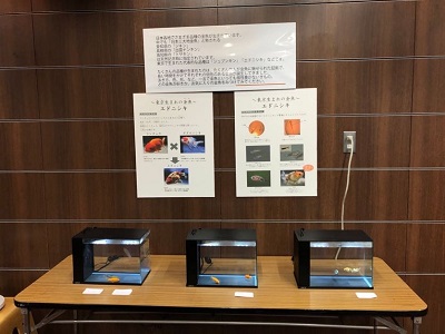 【すみだ水族館】ひきふね図書館③