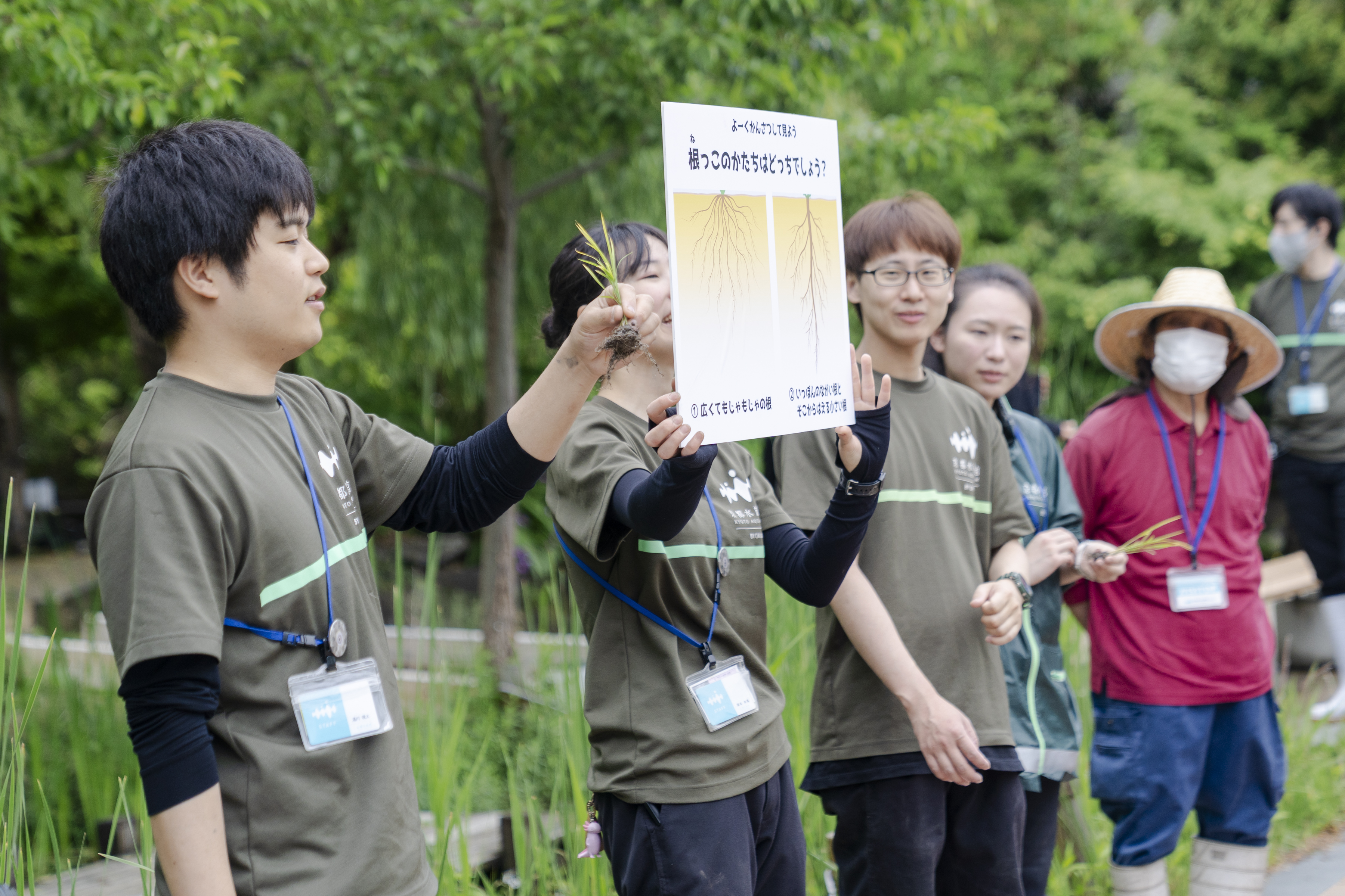 お米に関するクイズを出題