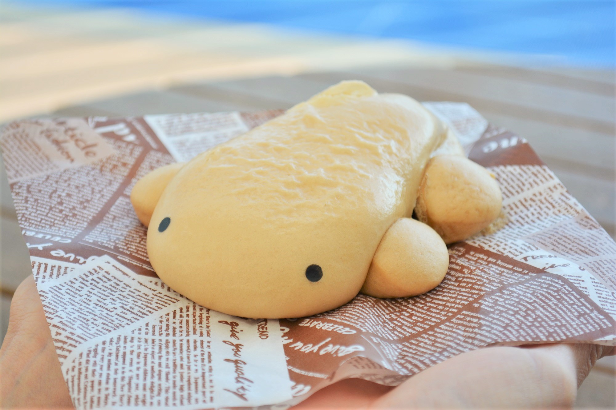 カフェ・ショップガイド | 梅小路京都西駅からすぐ「京都水族館