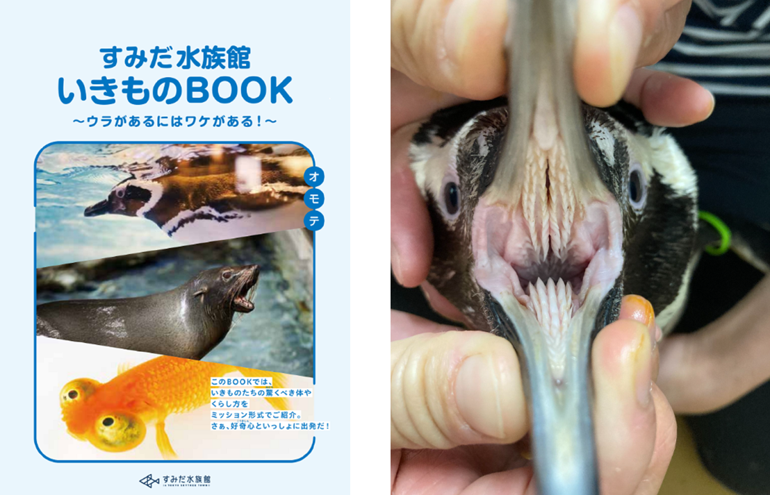 東京スカイツリータウン®にある「すみだ水族館」【公式】