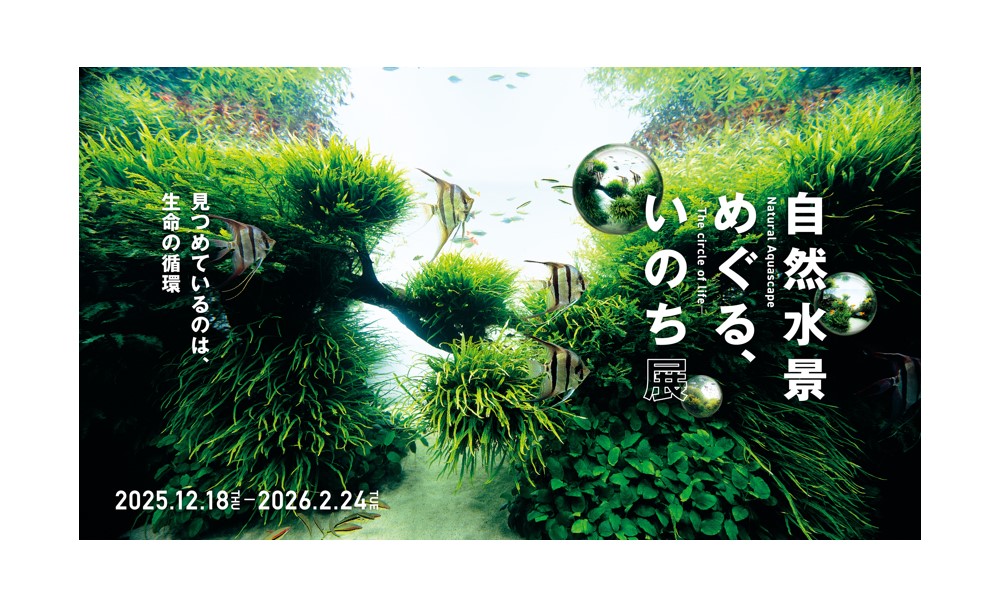 世界に誇るネイチャーアクアリウムの原点を見つめる 「自然水景 めぐる