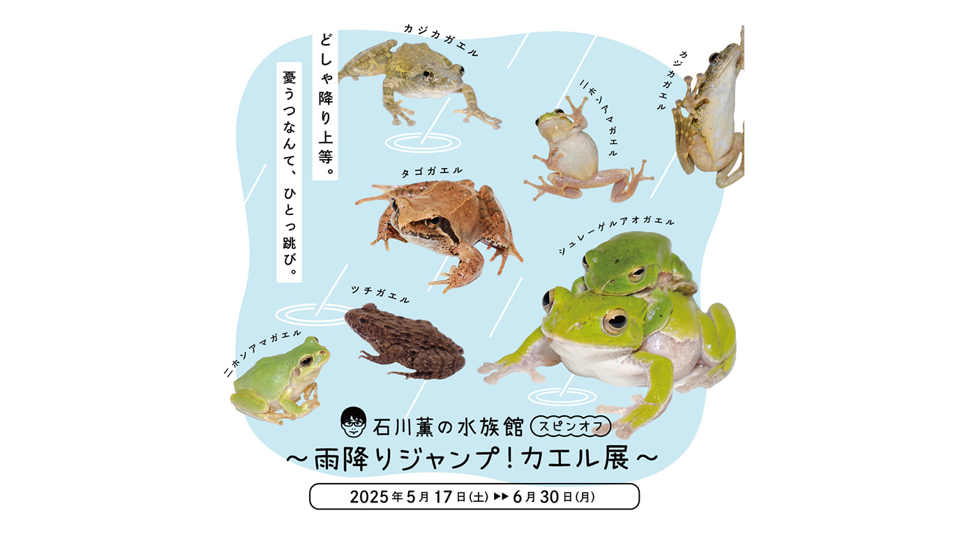 6月6日「かえるの日」を記念した特別展示 「石川薫の水族館 スピンオフ
