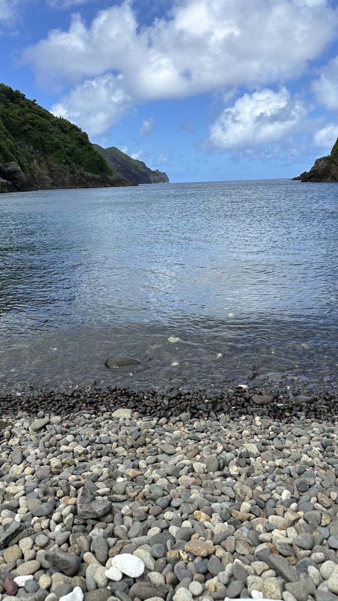 2024年 世界自然遺産小笠原諸島に関する活動レポート | コラム | 東京