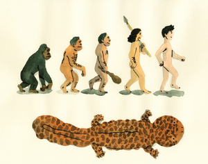 歴史的・文化的側面からオオサンショウウオの魅力に迫る「オオ