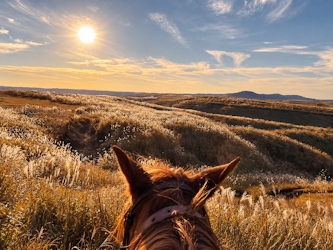 RIDE INTO THE SILENCE.