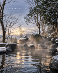 A WINTER PAUSE.