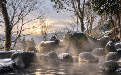 A WINTER PAUSE.