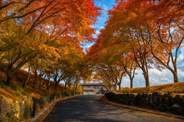 A Journey Through Autumn