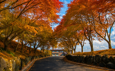 A Journey Through Autumn