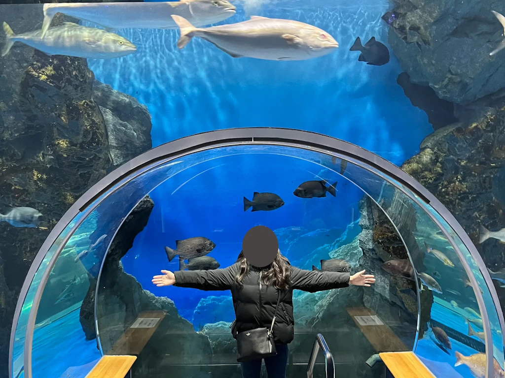 Noto-aquarium-1
