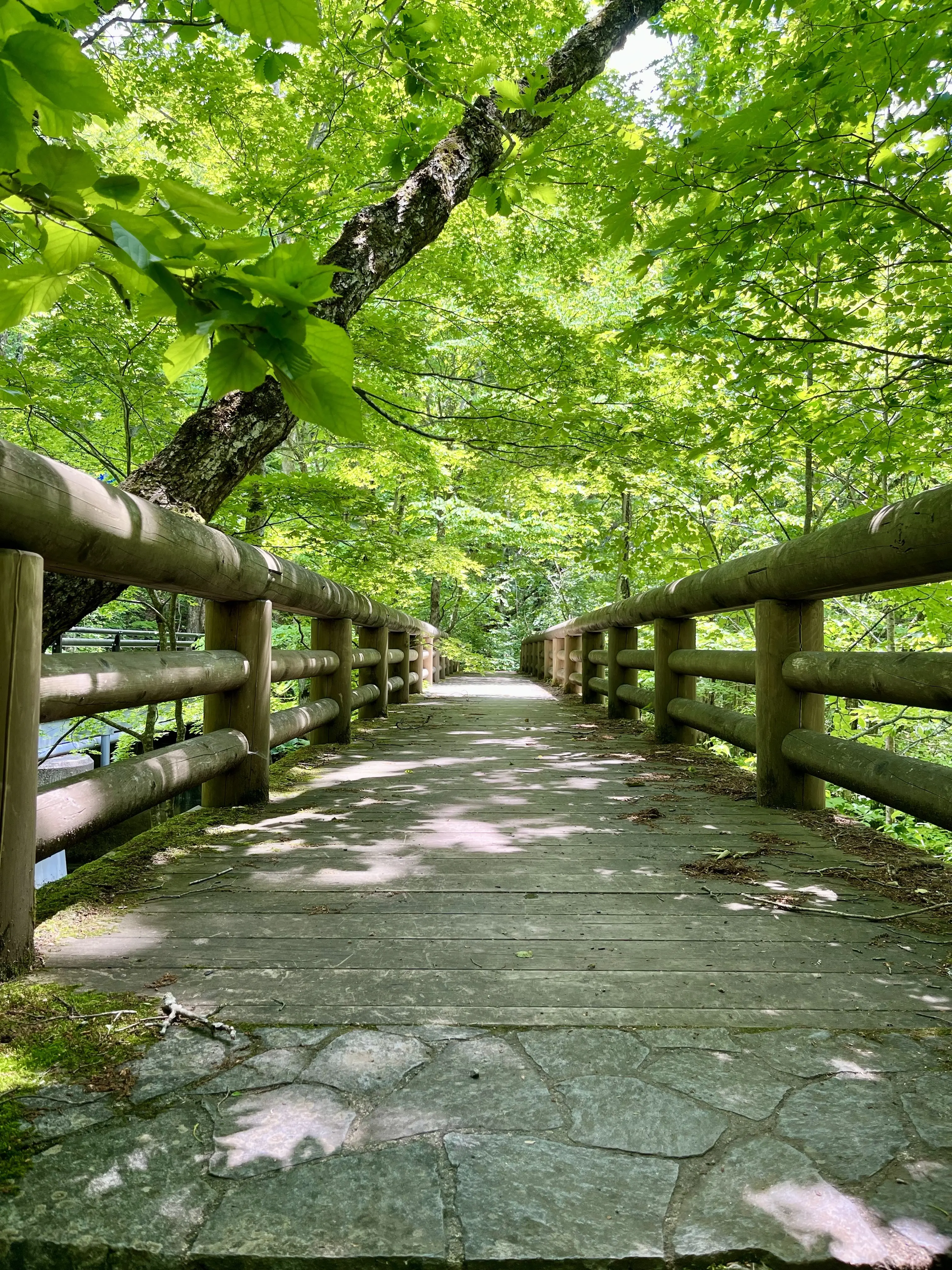 Oirase-Keiryu-Hiking-15