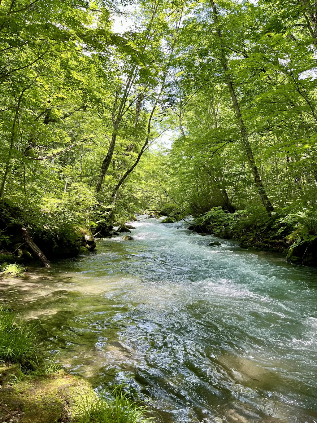 Oirase-Keiryu-Hiking-7