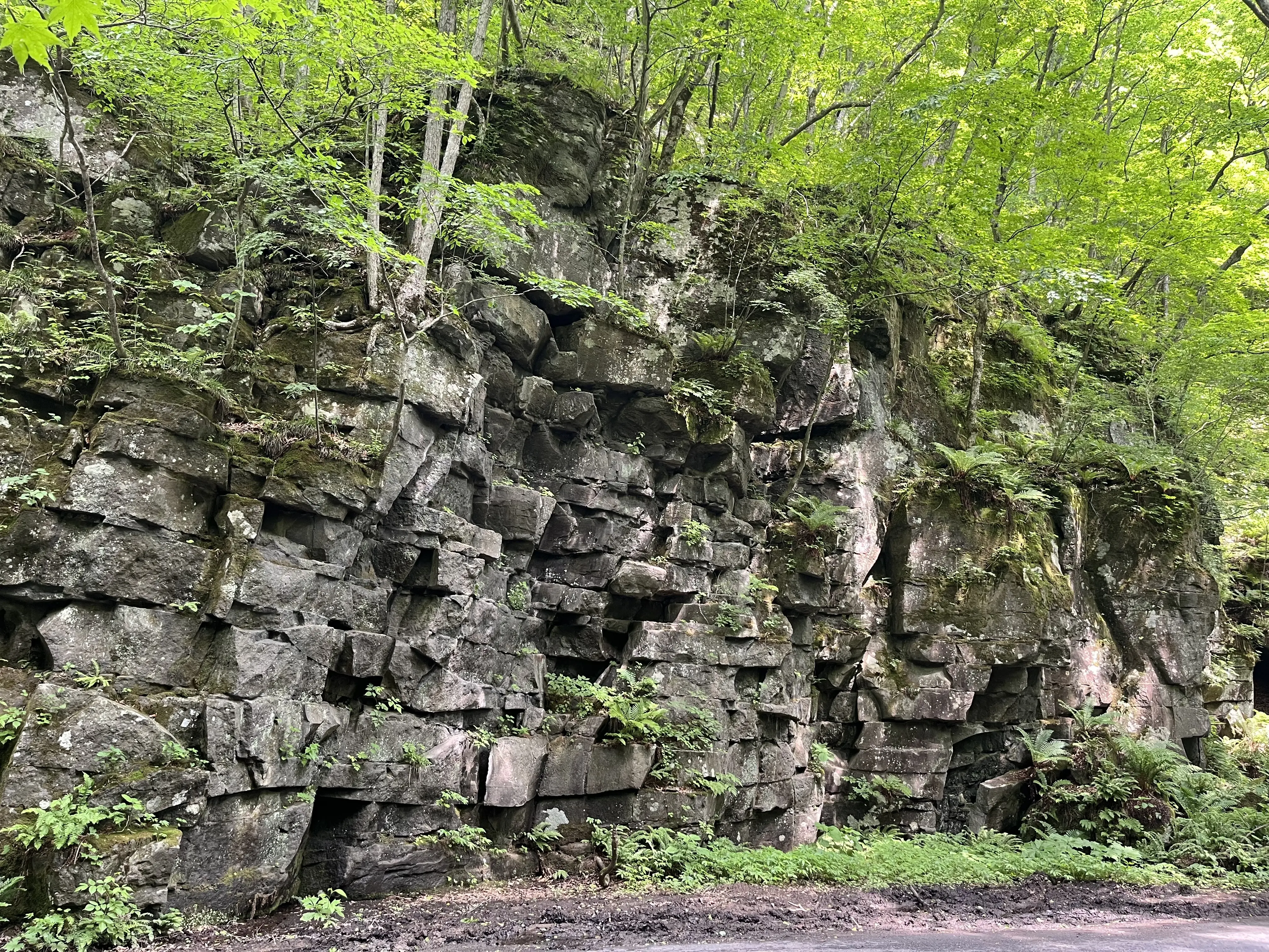 Oirase-Keiryu-Hiking-10