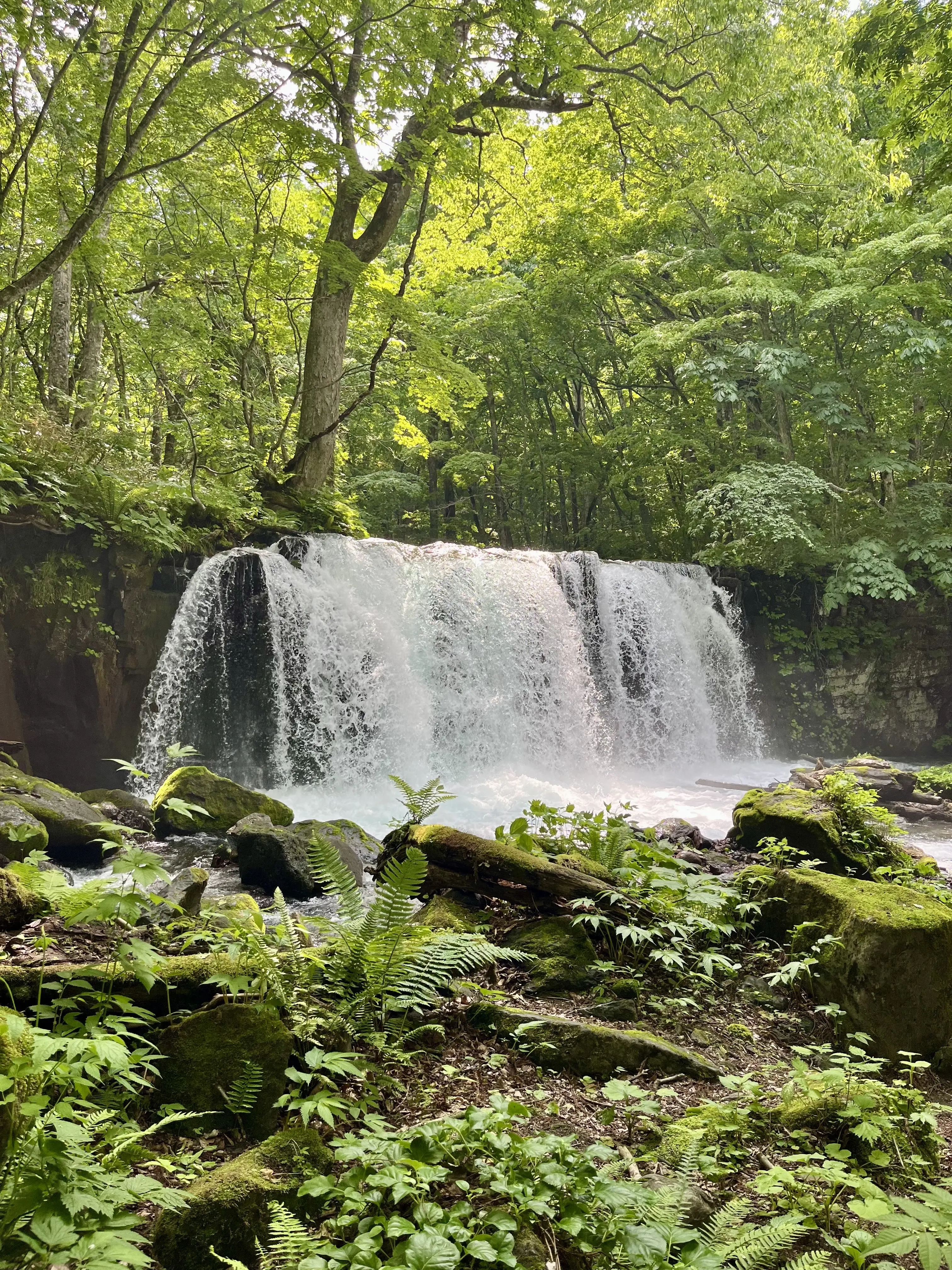 Oirase-Keiryu-Hiking-11