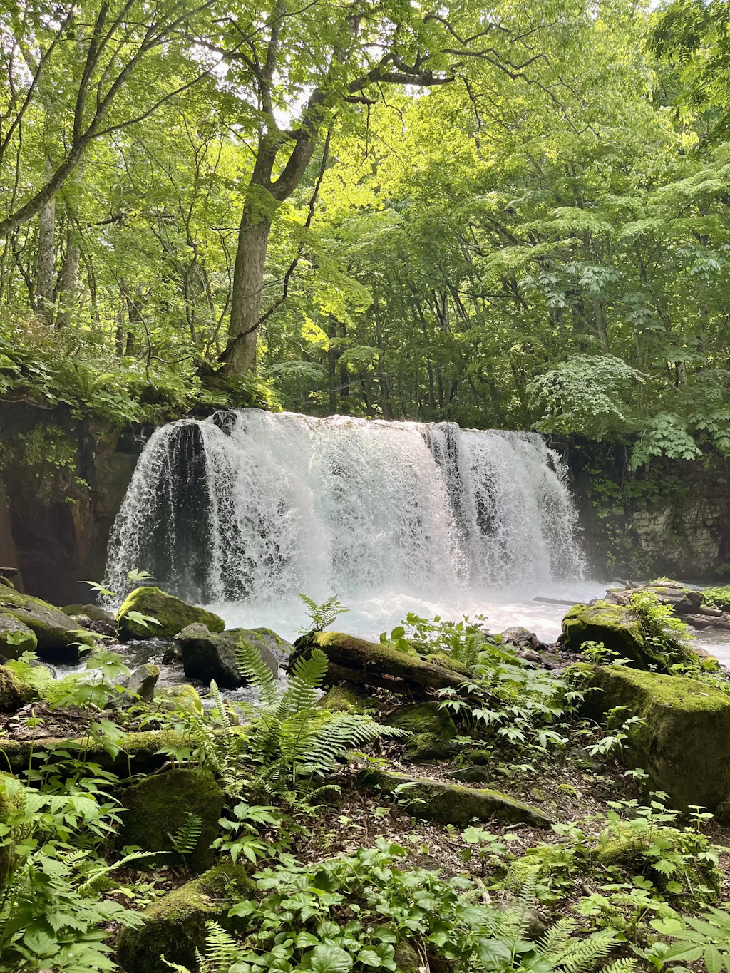 Oirase-Keiryu-Hiking-11