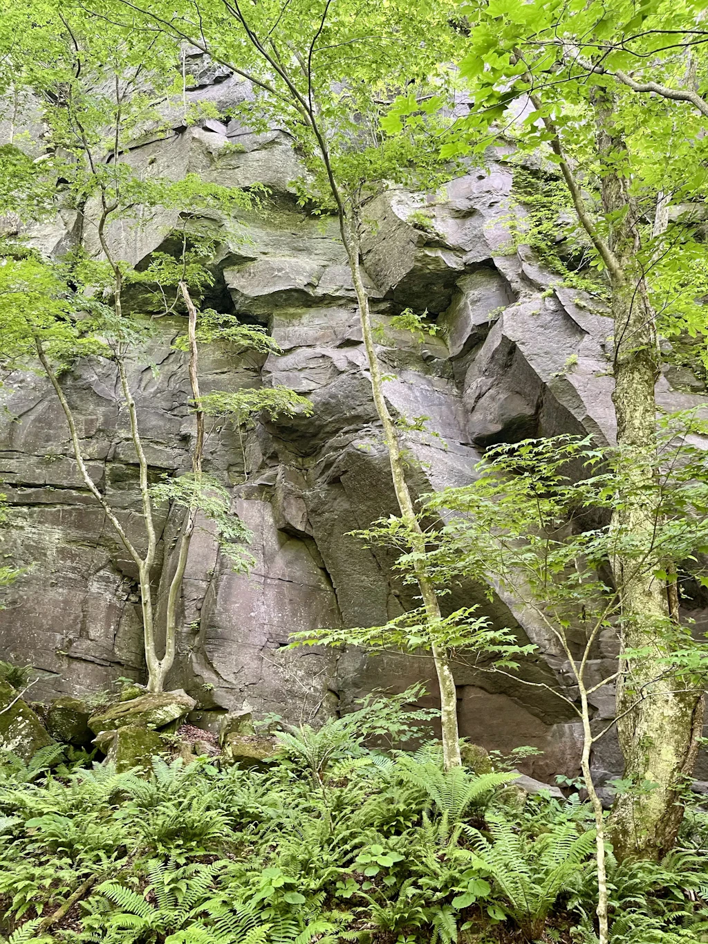 Oirase-Keiryu-Hiking-16