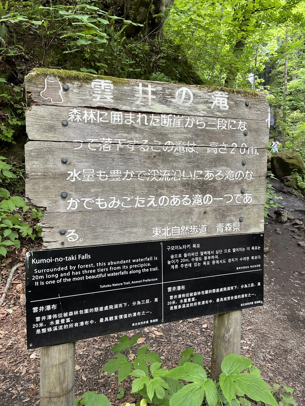 Oirase-Keiryu-Hiking-17