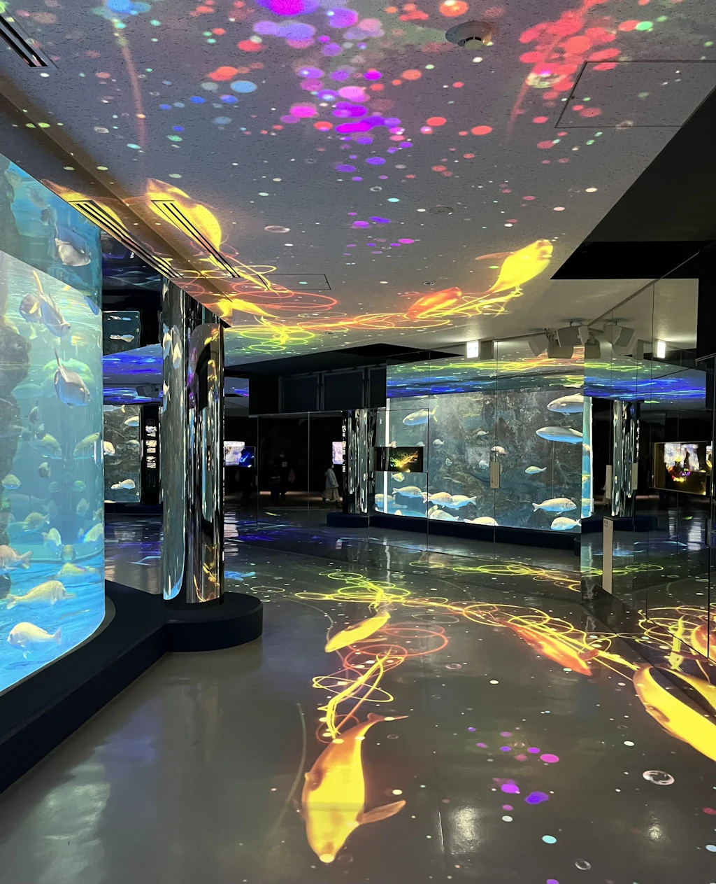 Noto-aquarium-2