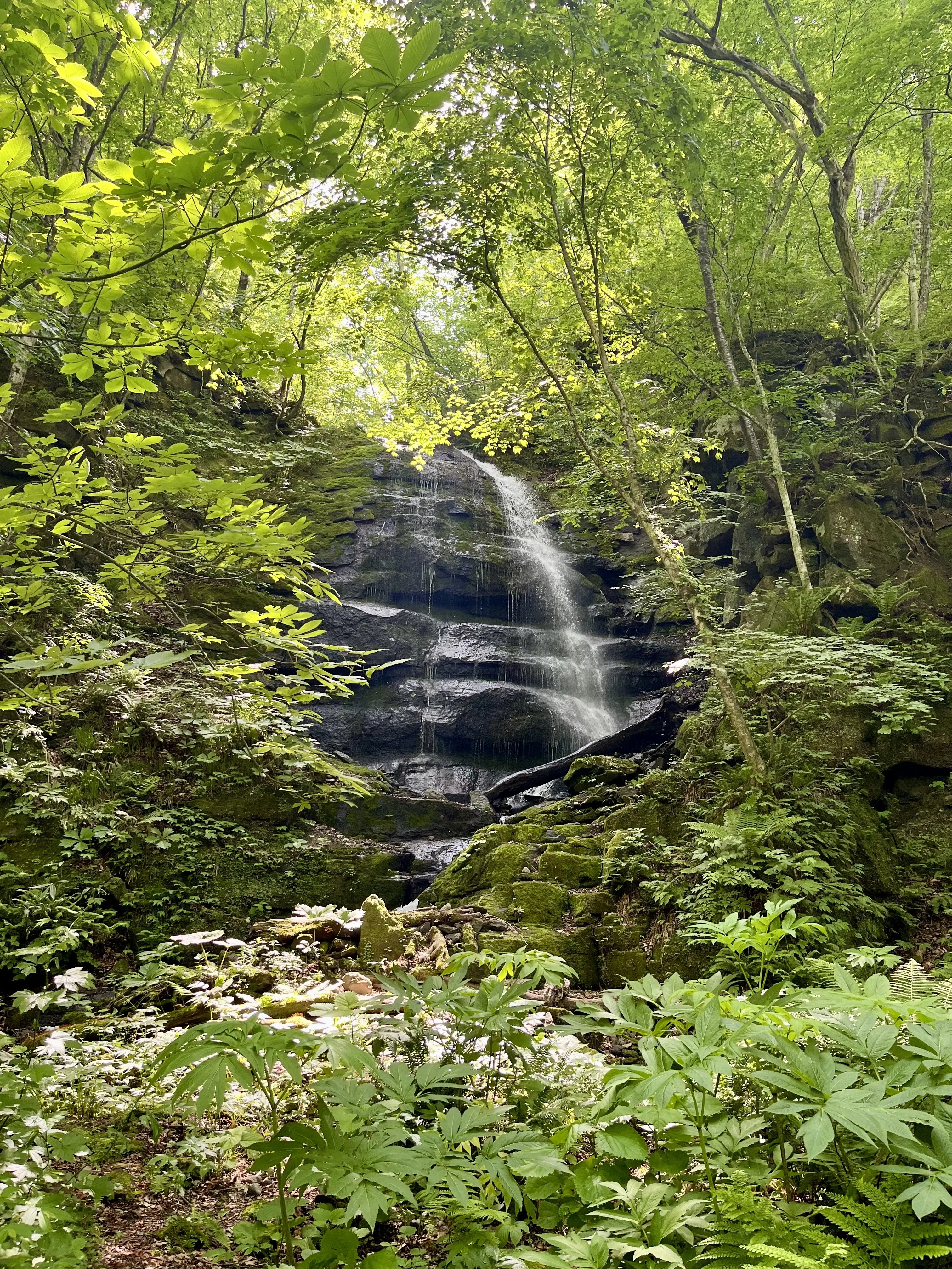 Oirase-Keiryu-Hiking-9